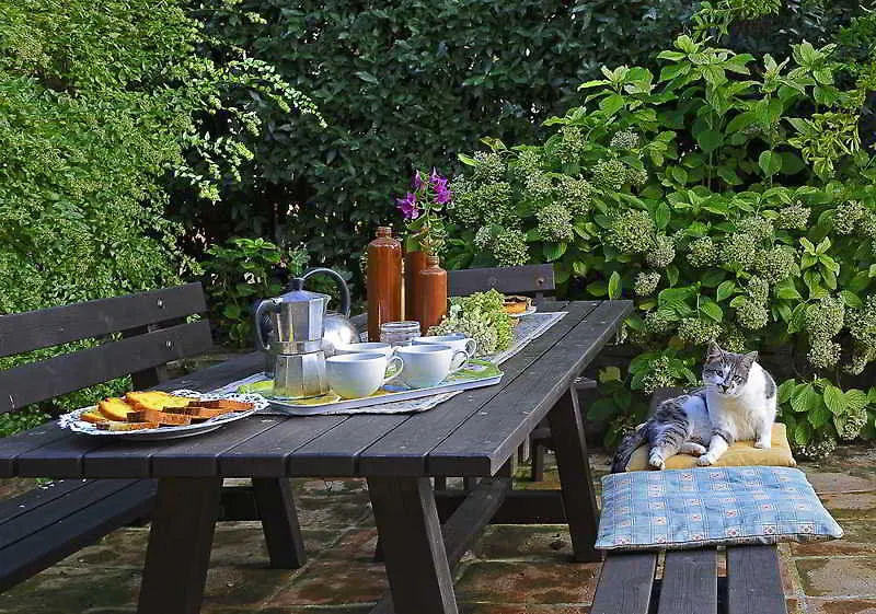 Borgo San Benedetto Guest House Montaione Country house